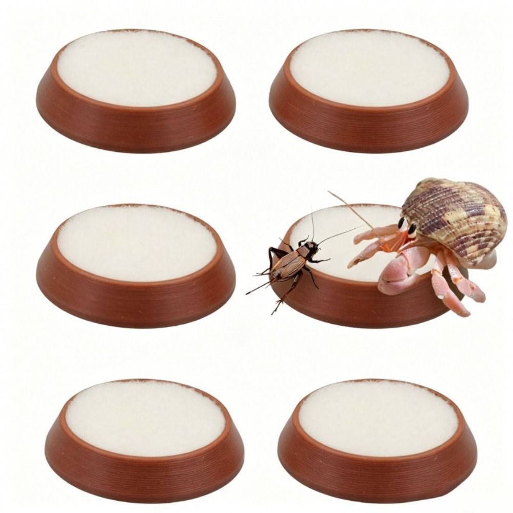 ชุดชามป้อนอาหารสัตว์เลื้อยคลาน - Water Dish Reptile บทวิจารณ์และราคา