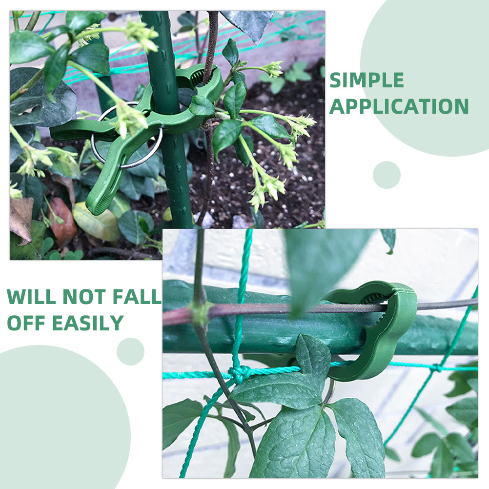 60 ชิ้น คลิปหนีบต้นไม้ในสวน ตั - Vine Climbing Plastic บทวิจารณ์และราคา