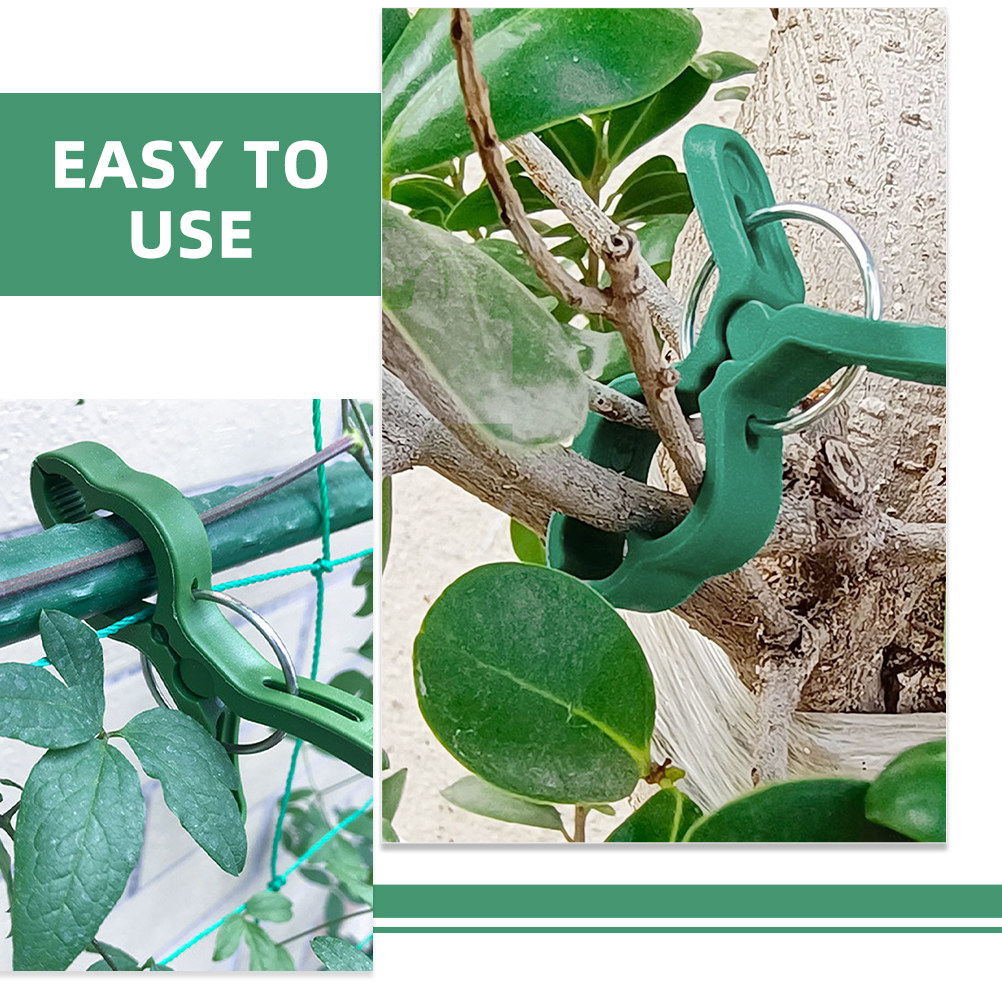 60 ชิ้น คลิปหนีบต้นไม้ในสวน ตั - Vine Climbing Plastic บทวิจารณ์และราคา