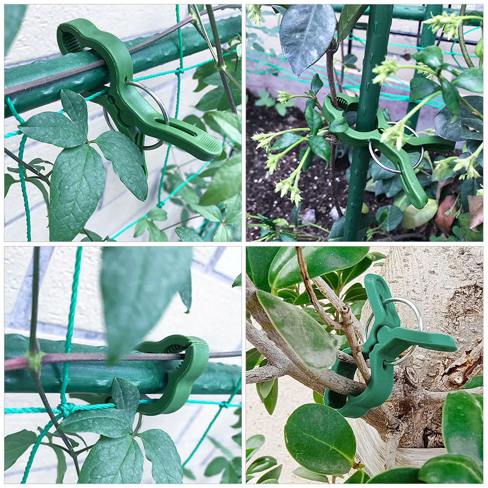 60 ชิ้น คลิปหนีบต้นไม้ในสวน ตั - Vine Climbing Plastic บทวิจารณ์และราคา